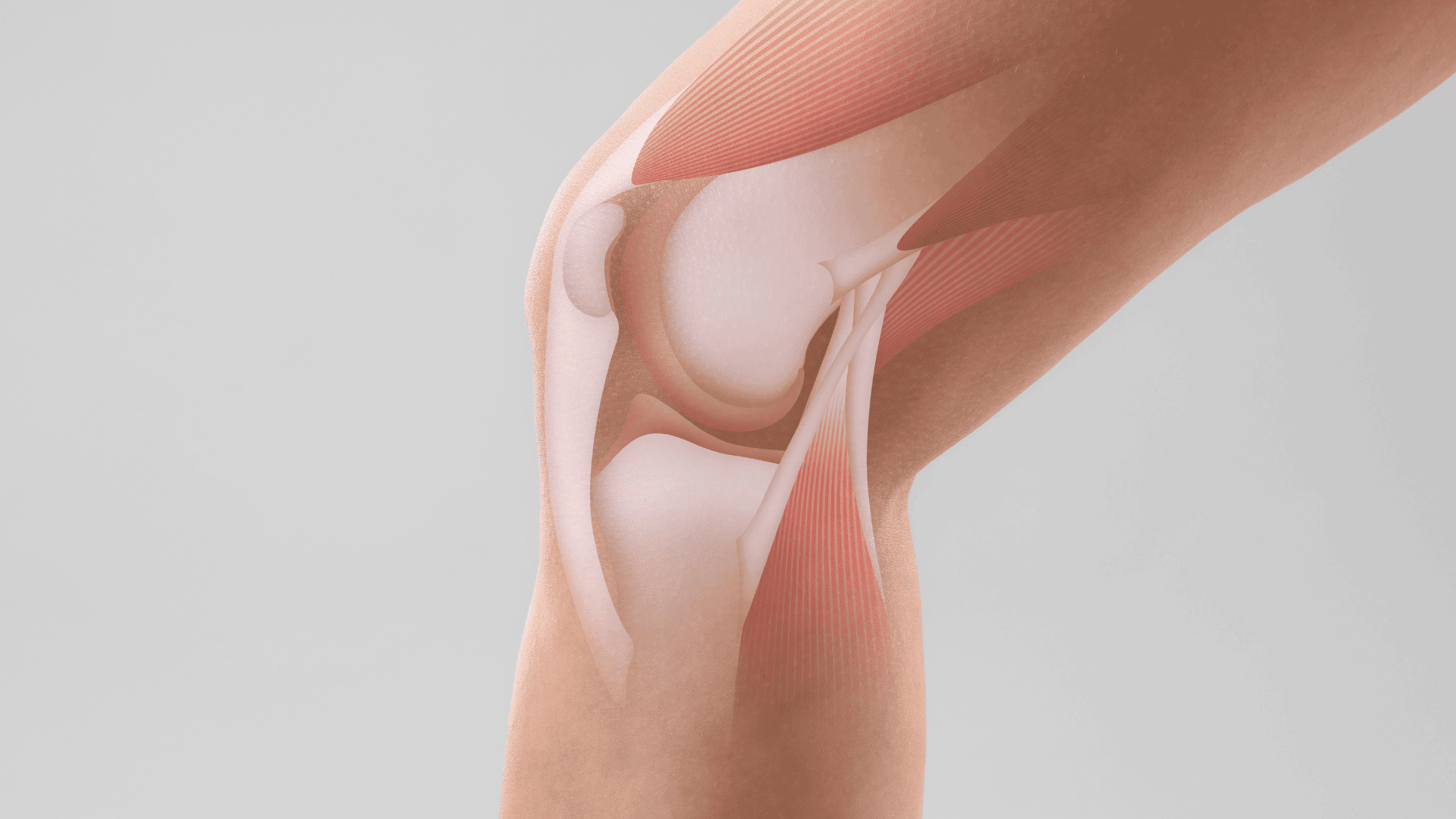 Lesão do Menisco | Dr. Guilherme Alvim | Ortopedista